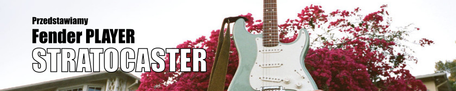 fender player 2018 Stratocaster