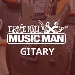 Gitary Music Man