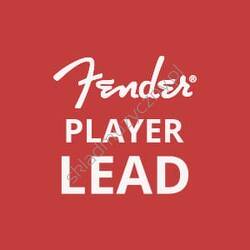 Player Lead