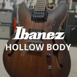 Ibanez Modele Hollow Body