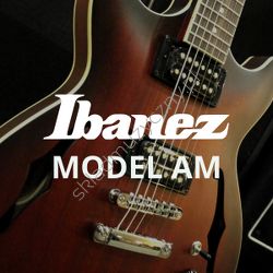 Model Ibanez AM