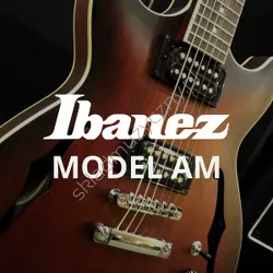 Model Ibanez AM