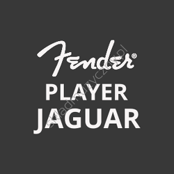 Player Jaguar