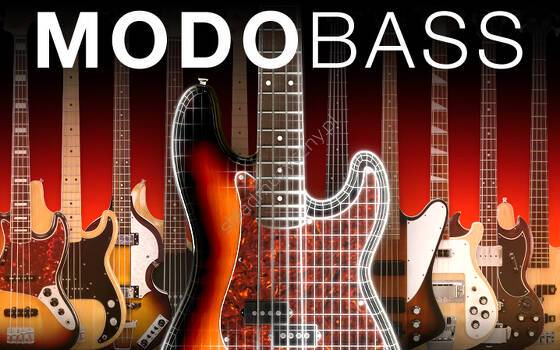 IK Multimedia Modo Bass IK MD-BASS-HCD-IN || Instrument wirtualny