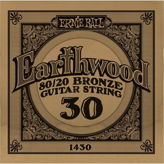 Ernie Ball Earthwood 80/20 Bronze Guitar String 1430 | Pojedyncza struna do gitary akustycznej .030