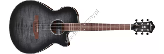 Ibanez AEG70-TCH ][ Gitara elektro-akustyczna
