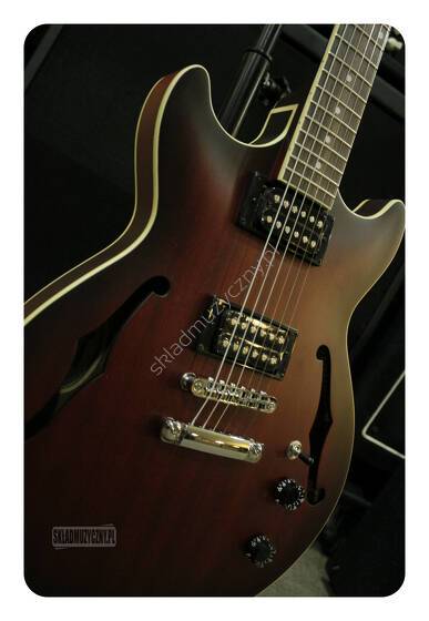 Ibanez AM53-SRF || Gitara elektryczna