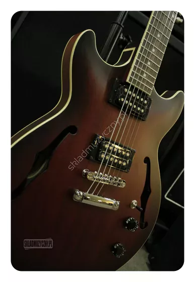 Ibanez AM53-SRF ][ Gitara elektryczna