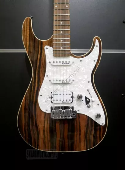 Michael Kelly Custom Collection 65 Striped Ebony ][ Gitara elektryczna
