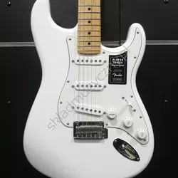 Fender Player Stratocaster MN PWT ][ Gitara elektryczna
