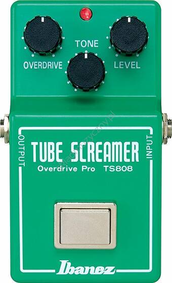 Ibanez TS808 Tube Screamer || Efekt gitarowy