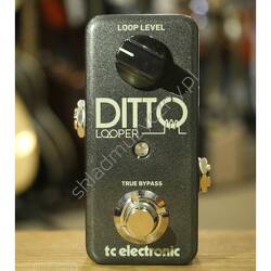 TC Electronic Ditto || Looper gitarowy