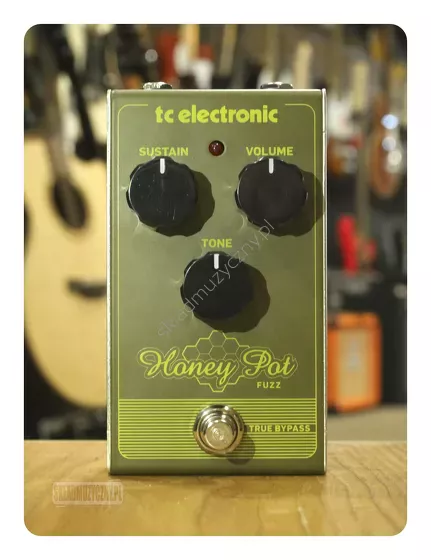 TC Electronic Honey Pot Fuzz ][ Efekt gitarowy