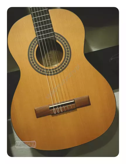 Ortega RSTC5M-3/4 ][ Gitara klasyczna 3/4