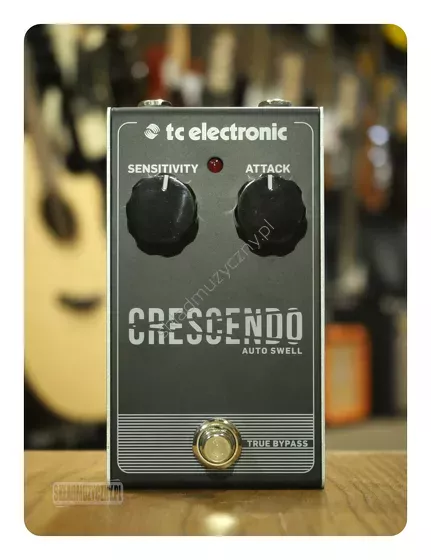 TC Electronic Crescendo Auto Swell ][ Efekt gitarowy
